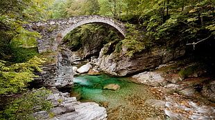 gray bridge, nature, forest, trees, river HD wallpaper