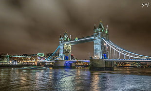 Tower Bridge in London, basking