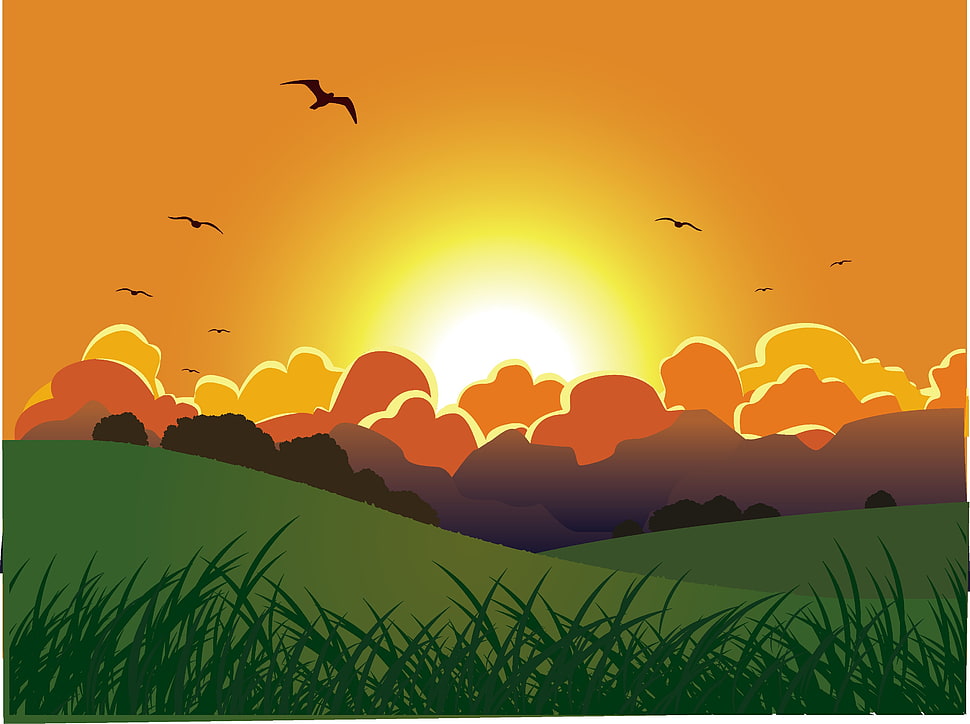 photo of sunset and clouds HD wallpaper