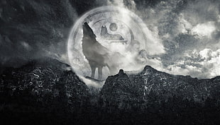 wolf howling wallpaper, wolf