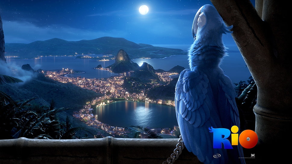 Rio digital wallpaper, movies, Rio (movie), animated movies HD wallpaper