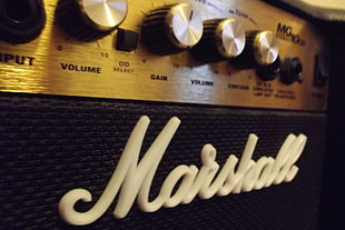black and gold Marshall guitar amplifier, technology, entertainment