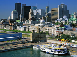 far shot photo of city buildings under blue sunny sky HD wallpaper