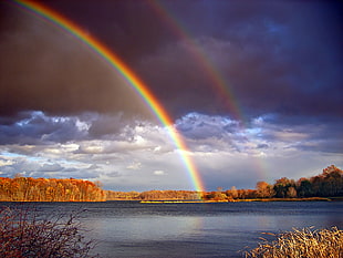 rainbow over body of water HD wallpaper