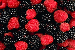 strawberries and black berries HD wallpaper