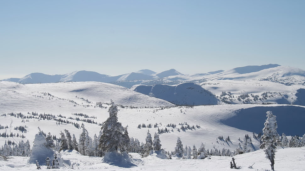 snowy mountain during daytime HD wallpaper