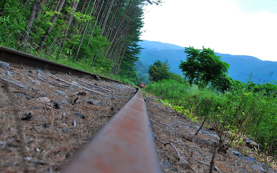 worm's eye view of approaching red train during daytime HD wallpaper