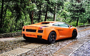 orange and white convertible coupe, car, forest, Lamborghini