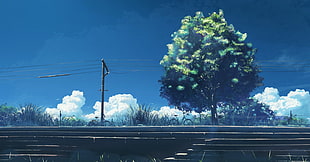 green leaf tree, 5 Centimeters Per Second, anime, power lines, trees