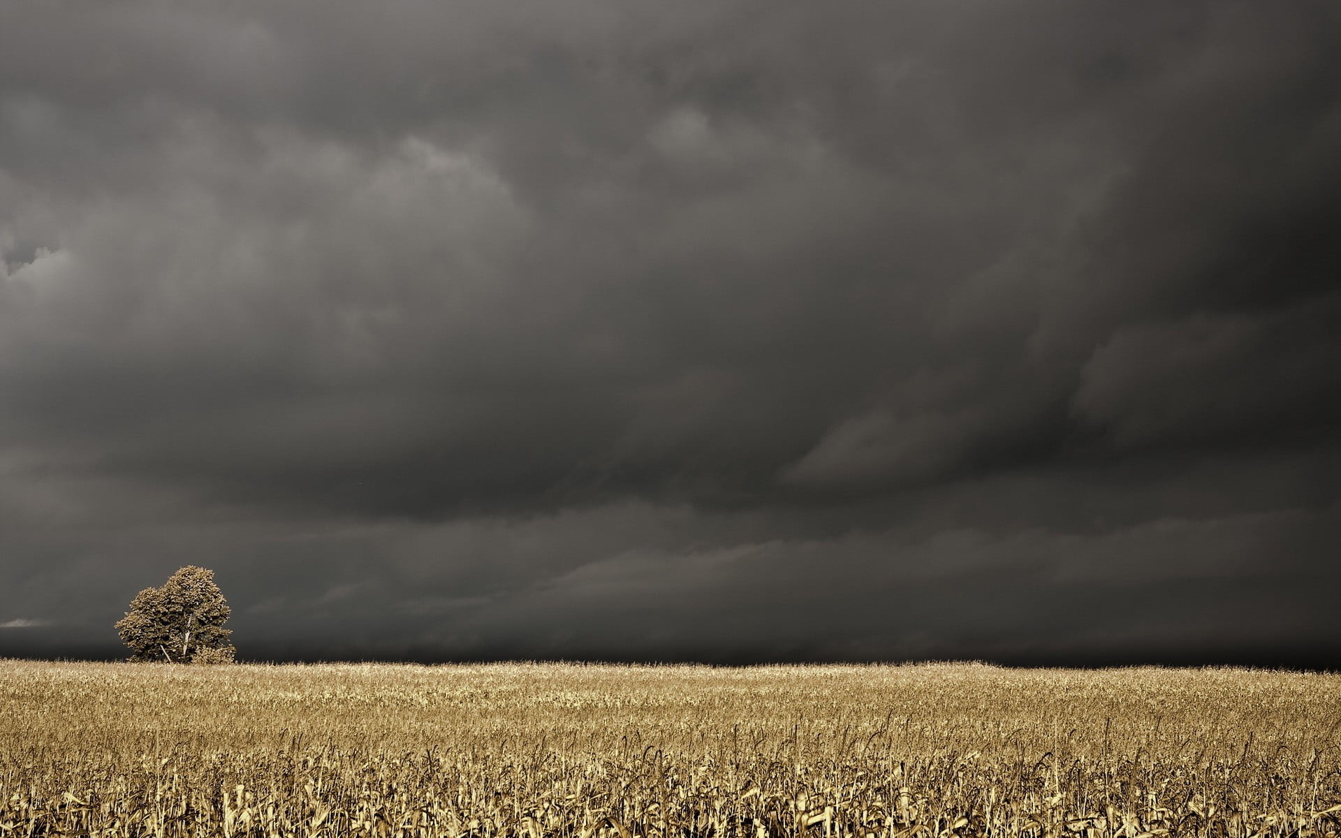 √ Plain Black Landscape Wallpaper - Popular Century