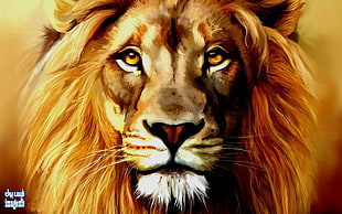 brown and black lion painting, lion, artwork, animals