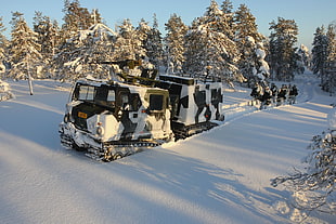 white and black military truck, Hägglunds BV206, Swedish Army, winter, snow