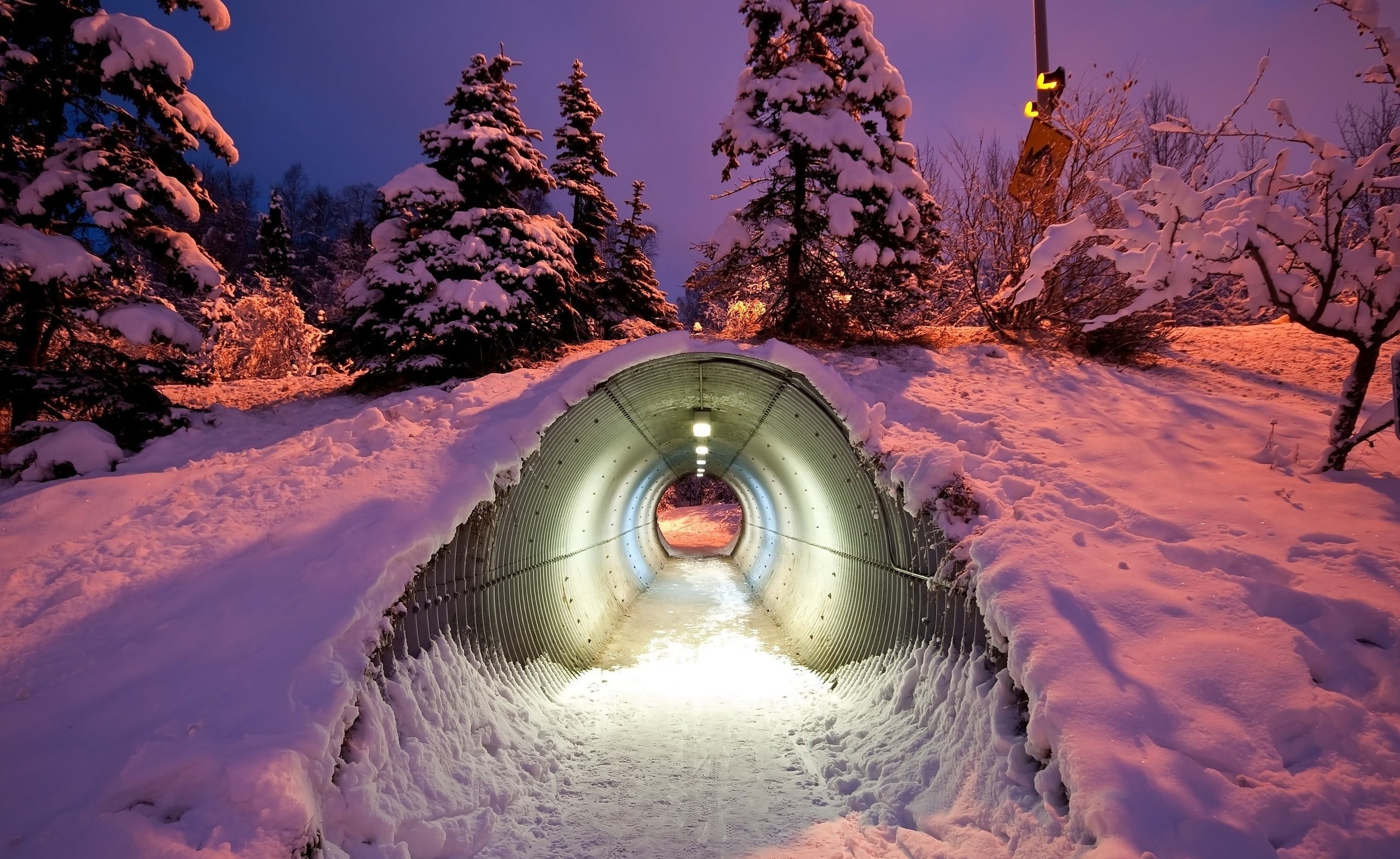 gray steel tunnel, photography, nature, winter, trees