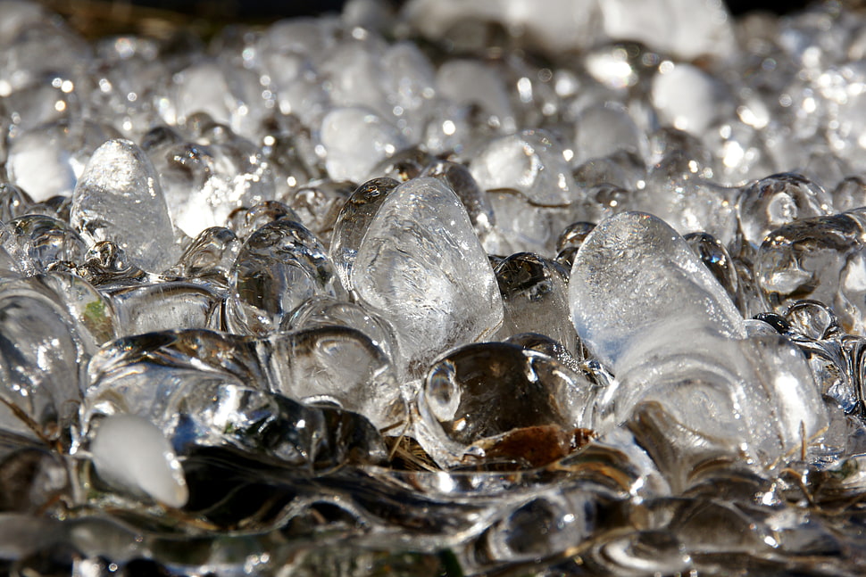 shallow focus of white ice HD wallpaper