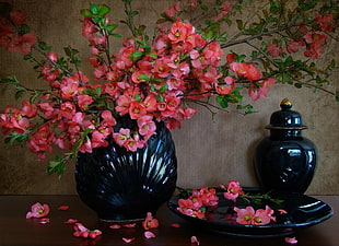 pink and green petaled flower arrangement beside black ceramic vase