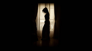 silhouette of dressed woman standing near window