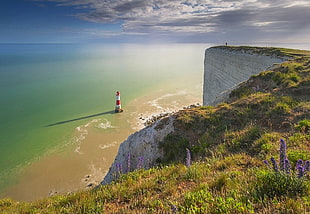 orange and white lighthouse, nature, landscape, beach, sea