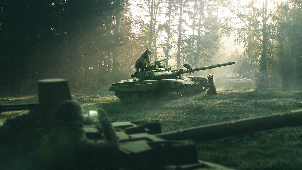 green battle tank, bears, baby animals, tank, wood HD wallpaper