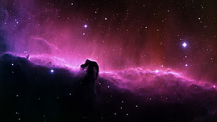 star and clouds photo, space, Horsehead Nebula, space art, nebula