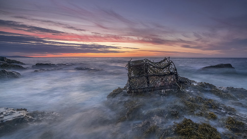 seashore, lobster, anglesey HD wallpaper