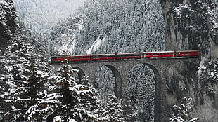 red train, train, snow, bridge, Engadin Valley HD wallpaper