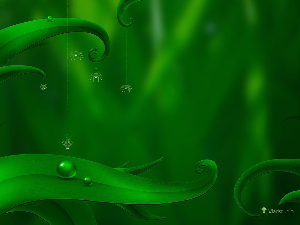 green leaves illustration, Vladstudio, leaves, water drops, spider HD wallpaper