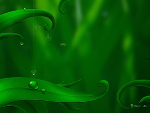 green leaves illustration, Vladstudio, leaves, water drops, spider