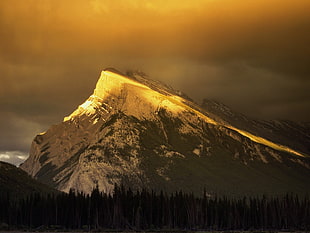 photo of brown mountain