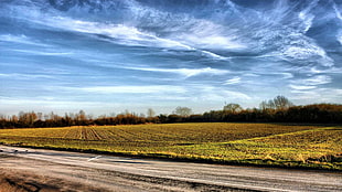 green grass field, nature, road, trees, clouds