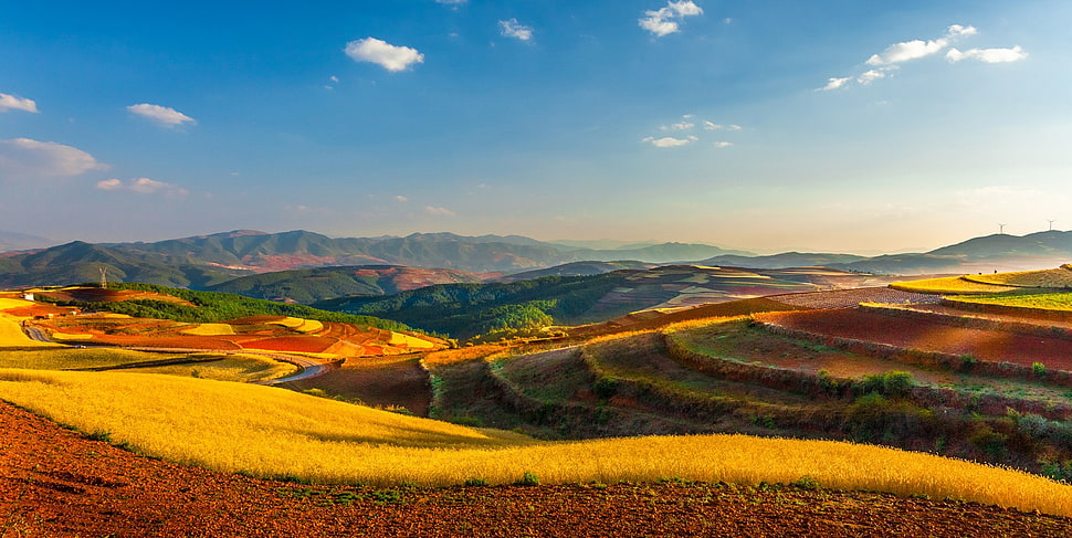 grass and soil covered field and hills, yunnan (china), China, field, landscape HD wallpaper