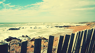 brown wooden fence, beach, rock, nature HD wallpaper