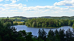 lake between forest HD wallpaper