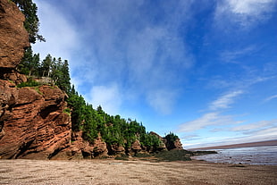 rock formations and pine trees under blue sky