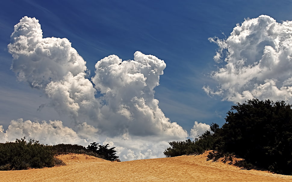 white and blue sky HD wallpaper