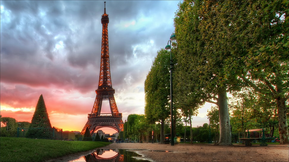 Eiffel Tower, Paris, nature, Eiffel Tower, Paris HD wallpaper