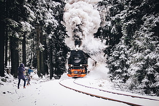 black train, nature, train, railway, snow