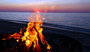 bonfire and sea, beach, fire, sky, water