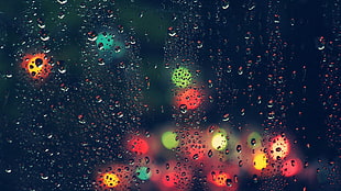 macro shot photography of water drops