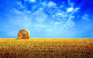 hay roll under cloudy sky HD wallpaper