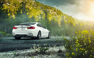 white coupe on road during day time HD wallpaper