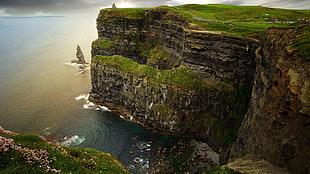grass covered cliff, sea, rocks, horizon, Ireland HD wallpaper