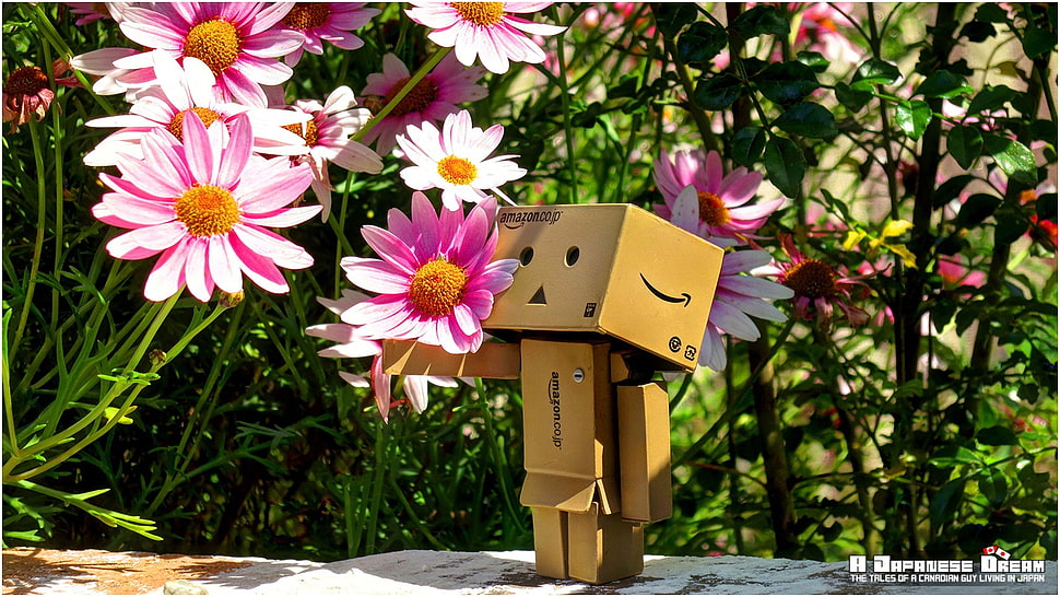 brown cardboard box illustration HD wallpaper