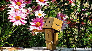 brown cardboard box illustration