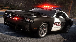 black and white Dodge Challenger Police car