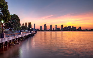 landscape photography of buildings in front of body of water during golden hour