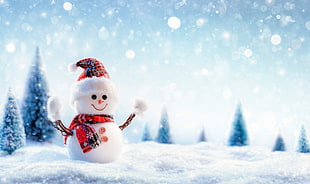 snowman, Christmas, New Year, snow HD wallpaper