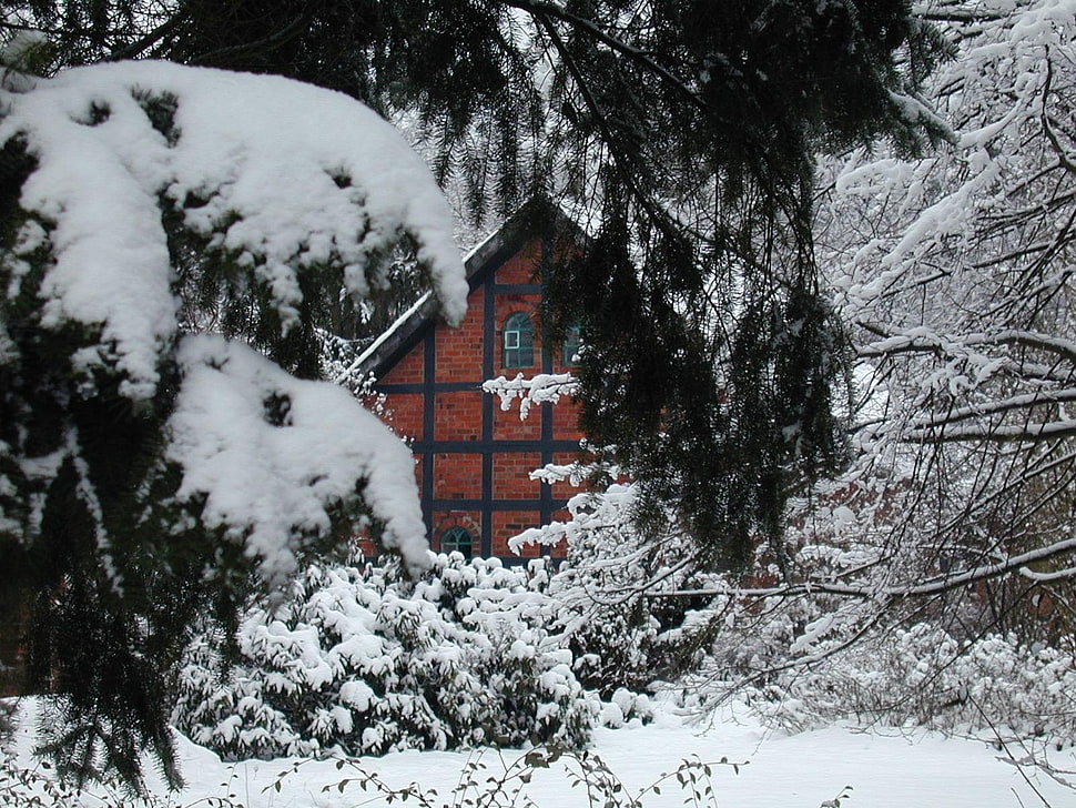 brown house with snow HD wallpaper