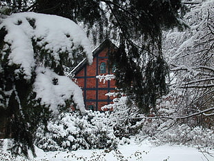 brown house with snow