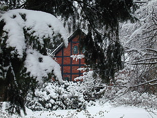 brown house with snow HD wallpaper