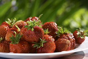 selective focus photo of bunch of strawberries on plate